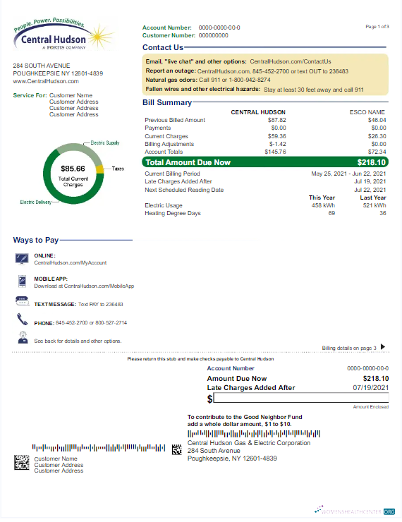 download download USA NEW YORK CENTRAL HUDSON utility bill Word and PDF template PDF template PDF template
